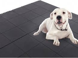 Dog Mat